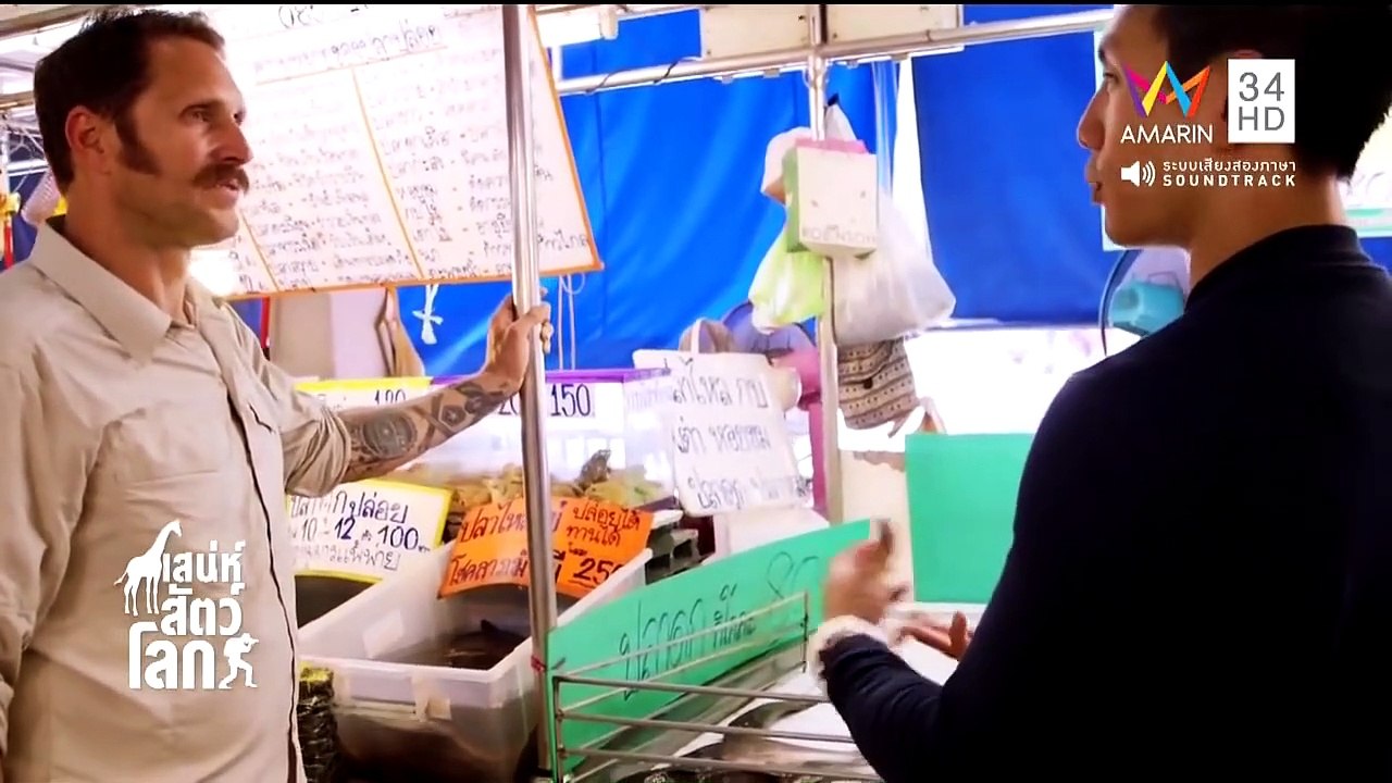 เสน่ห์สัตว์โลก World Animals EP.71