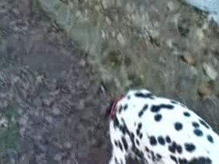 Ballade à Rambouillet 10