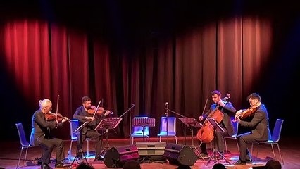 Anadolu Quartet - Harmandalı Zeybeği