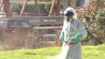 Continúan las fumigaciones en Coria del Río contra el mosquito que propaga el virus del Nilo