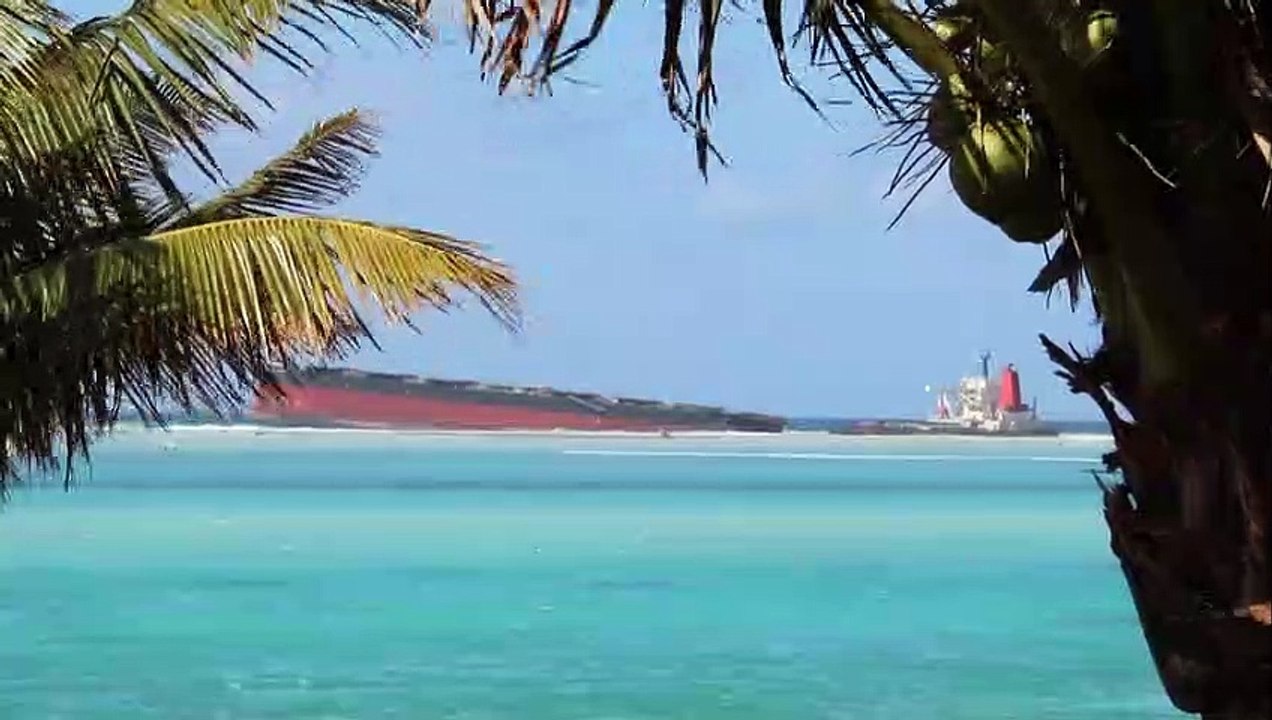 Tragédia ecológica