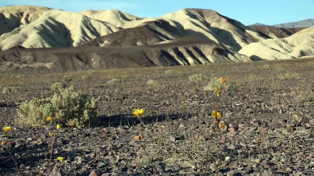 Calor de matar
