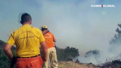 Aydın'da antik kent yakınında yangın