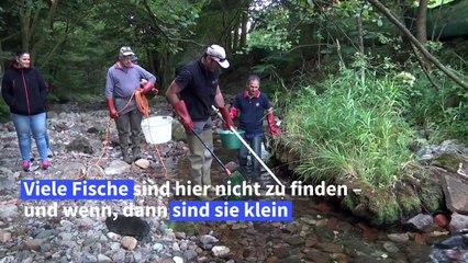In Frankreich trocknen die Flüsse aus