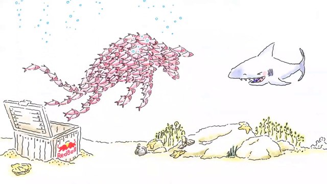 'TIBURÓN', 'SHARK' - Red Bull te da alas.