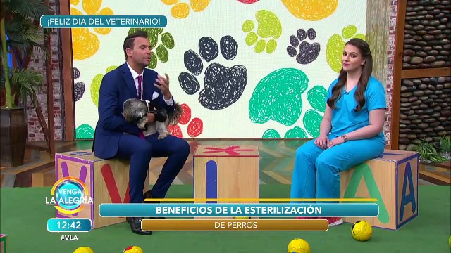 Beneficios de la esterilización de perros con Rosalía Puerta. | Venga La Alegría