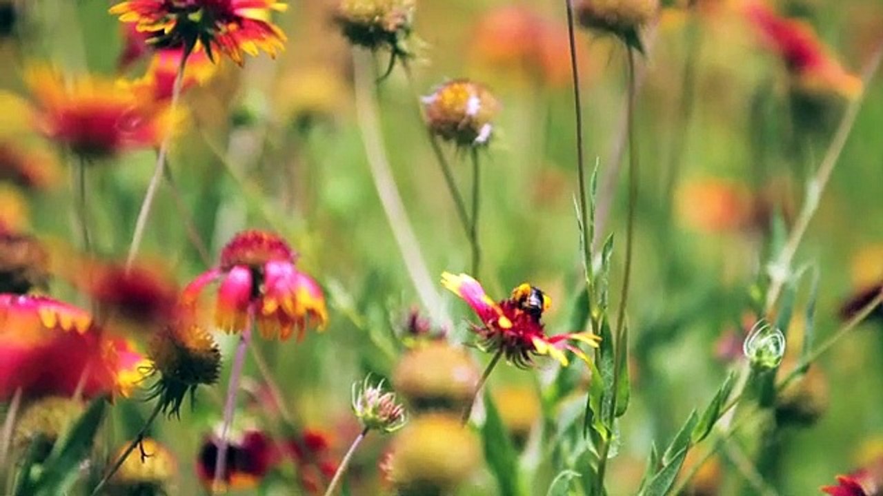 Stop Blocking Your Miracle - Tony Evans Sermon