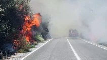 Zirai alanda çıkan yangın Priene Antik Kenti'ndeki ağaçlara sıçradı - AYDIN