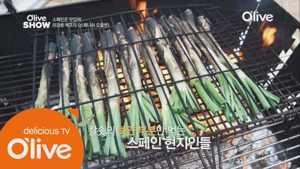 스페인 대파 ′칼솟′ 전격 탐구