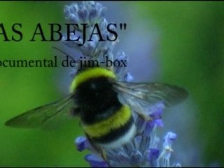 Las Abejas. Pequeños Documentales.