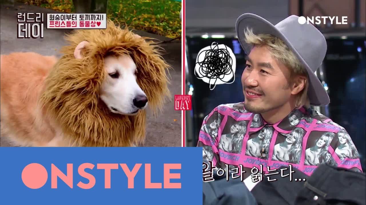 [선공개]NCT도영, 선배 아이린을 닮은 동물은?