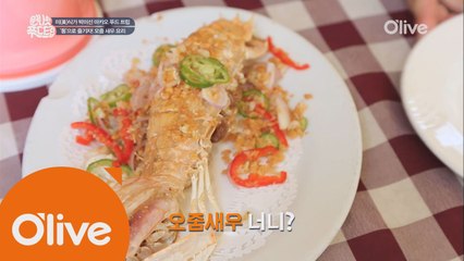 성인 남자 팔뚝만 한 마카오 '오줌 새우'?