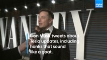 Elon Musk tweets about Tesla updates, including honks that sound like a goat.