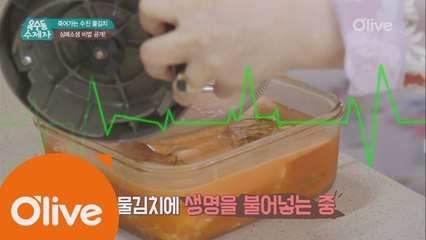 [옥수동비법] 죽어가는 물김치 순식간에 살리는 비법