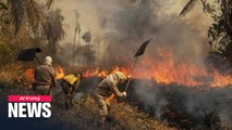 Number of fires in Brazil's Pantanal more than double over past few months