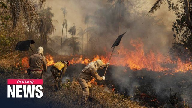 Number of fires in Brazil's Pantanal more than double over past few months