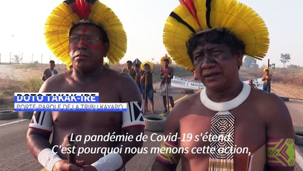 Virus, déforestation: des indigènes bloquent une route au Brésil