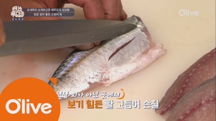 [제주] 고등어 회를 맛봐야 할 곳은 제주도!