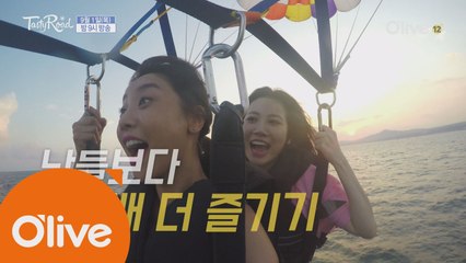마법같은 제주도! 테로와 함께 100배 즐기기!