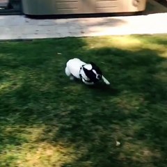 Round and Around We Go