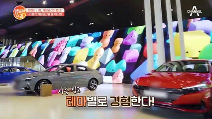 직접 보고 생생하게 느끼는 ★자동차 체험공간★ 제대로 즐기는 법!