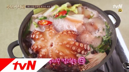 탱글탱글 쫄깃쫄깃! 살살 녹는 문어 신세계!