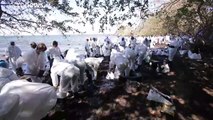 شاهد: سباق مع الزمن لإنقاذ سواحل جزيرة موريشيوس من التلوث
