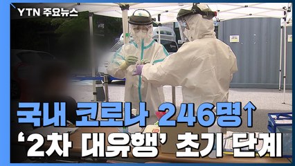코로나19 신규 확진 246명...서울 131명·경기 52명 '수도권 집중' / YTN