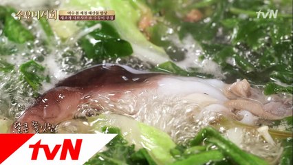 해산물 덕후 모여라! 달큰 쫄깃 새조개 샤브샤브!