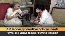 BJP leader Jyotiraditya Scindia meets former Lok Sabha speaker Sumitra Mahajan