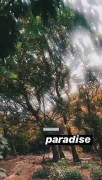 Μάκης Παντζόπουλος: Το νέο βίντεο από την αγαπημένη γωνιά της Μενεγάκη στα Άχλα!