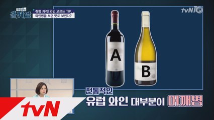 와인 고르는 꿀팁) 병을 보면 맛도 안다?