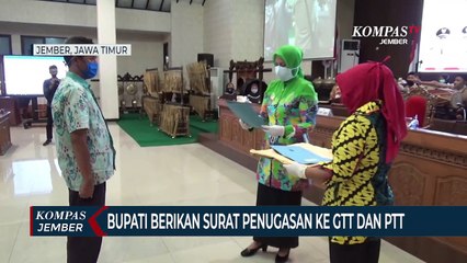 Bupati Jember Berikan Surat Penugasan ke GTT dan PTT
