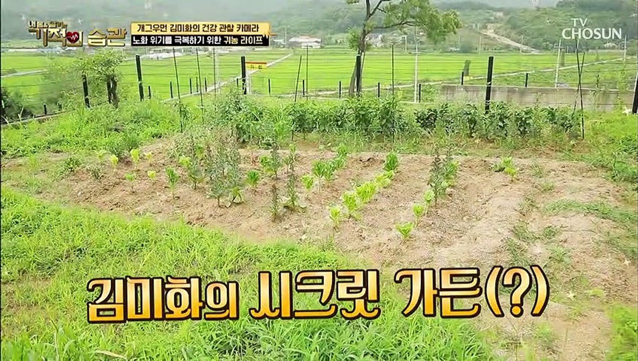 농부 스타일 나는 ⋄김미화의 시크릿 가든⋄