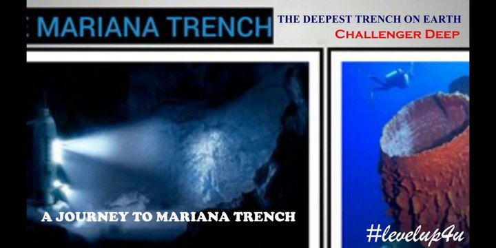 Mariana trench creatures scarier than megalodon|how deep is the mariana trench| marianas trench beside you|mariana trench video
