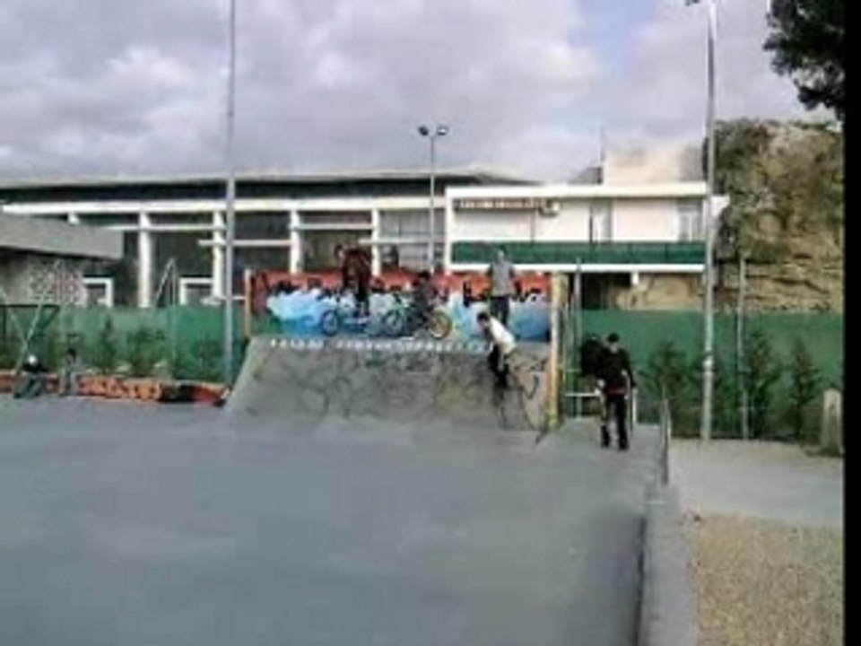 Walid flip-nosegrind-back