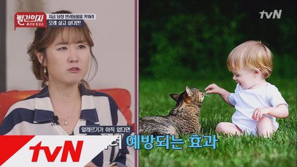 오래살고 싶다면 개와 고양이를 키워라?