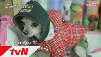 유기견과 인간 모두에게 새 삶을 찾아주는 염수진씨의 이야기