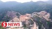 SAM: Quarrying in Segari Melintang Forest Reserve should not have been approved
