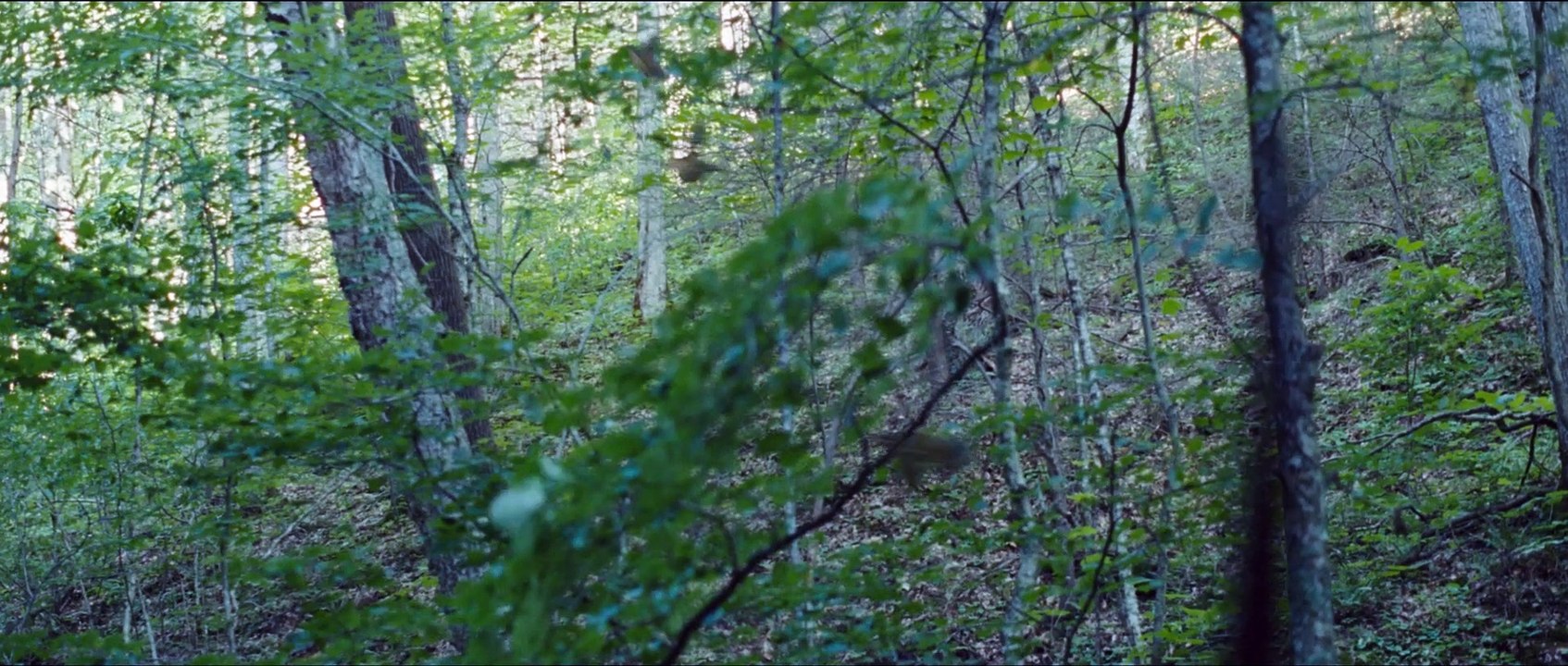 DIE TRIBUTE VON PANEM - THE HUNGER GAMES | Trailer German HD (2012)