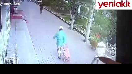 Çin'de "yok artık" dedirten olay! Başına kedi düşen adam bilincini kaybetti