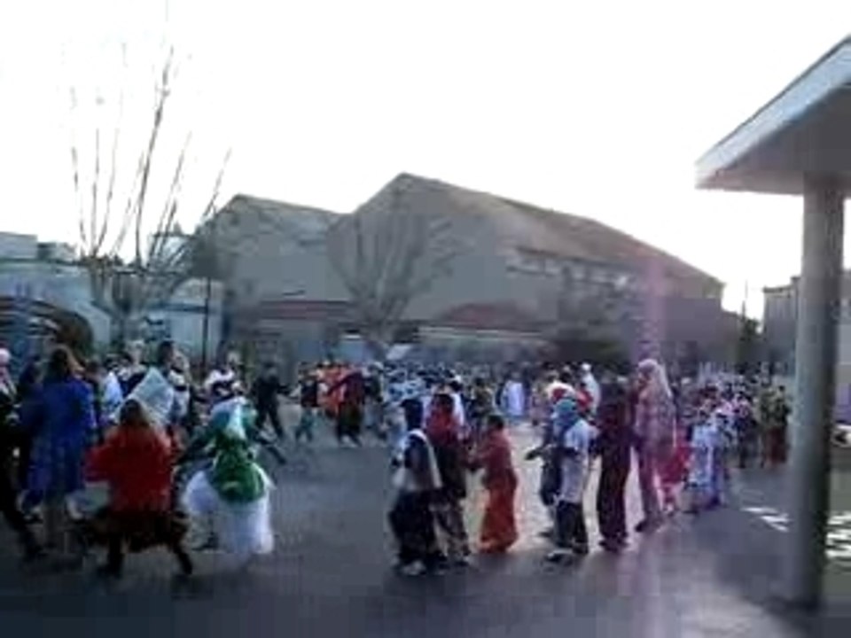 3 - Carnaval écoles Caux - Fadas - 2008