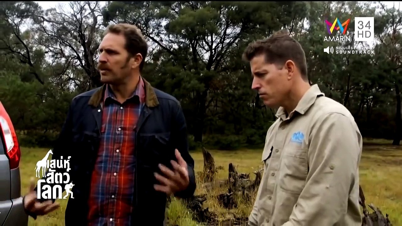 เสน่ห์สัตว์โลก World Animals EP.73