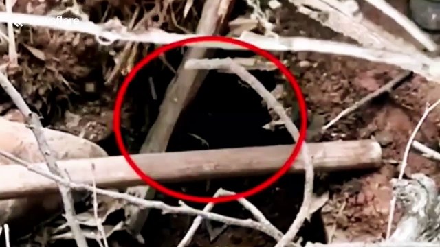 Dog rescued after miraculously surviving being buried in landslide for over a month