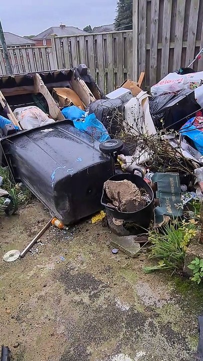 Rats invade Sheffield home targeted by fly-tippers