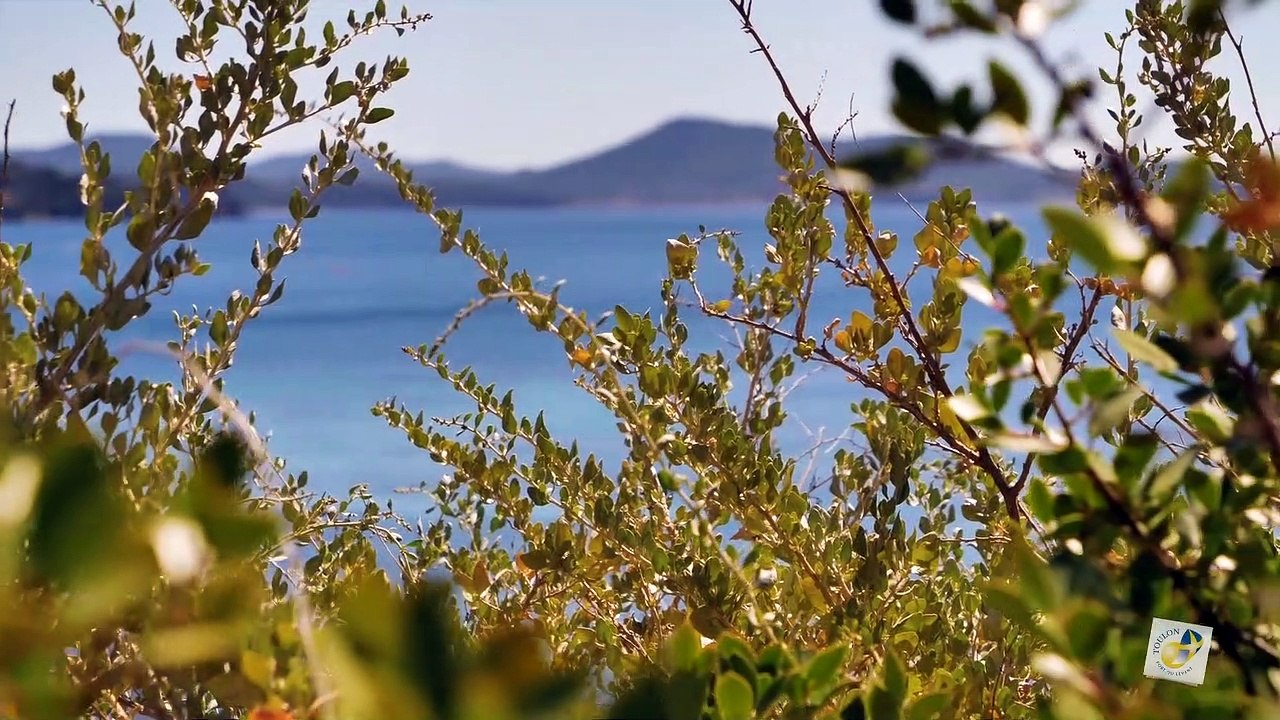 Plage de la Mitre à Toulon