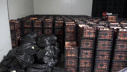 Adana’da 40 ton kaçak et ele geçirildi