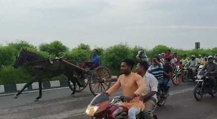 घोड़ों की रेस के लिए हाईवे पर रोक दी गई गाड़ियां, वीडियो वायरल होने पर मुकदमा दर्ज