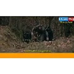 Ertugrul ghazi season 4 episode 32 part 10 11