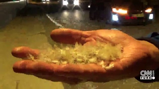 Kelebeklerin ölüm uçuşu başladı | Video
